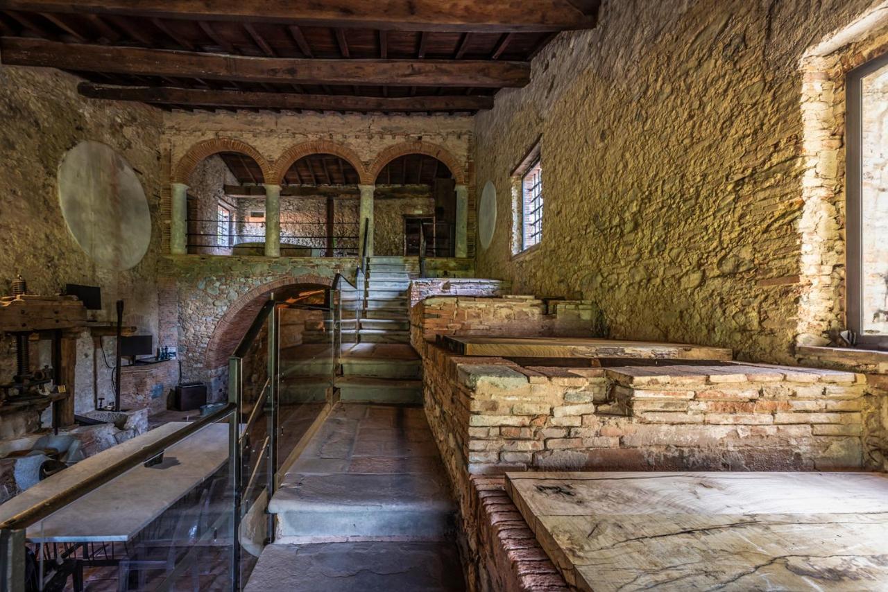Frantoio Del Moscatello Bed and Breakfast Camaiore Eksteriør billede
